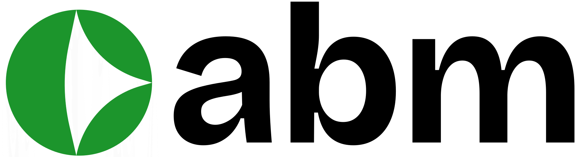 ABM GENERAL TRADING AND SERVICES LLC